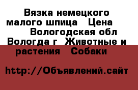 Вязка немецкого малого шпица › Цена ­ 5 000 - Вологодская обл., Вологда г. Животные и растения » Собаки   